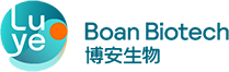 Boan Biotech，ShandongBoan Biotech， Boan Biotech Novel Antibodies，Boan Biotech Biosimilars，Luye Pharma，Bevacizumab
